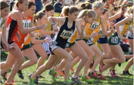 Race to finish success for Stegmeier