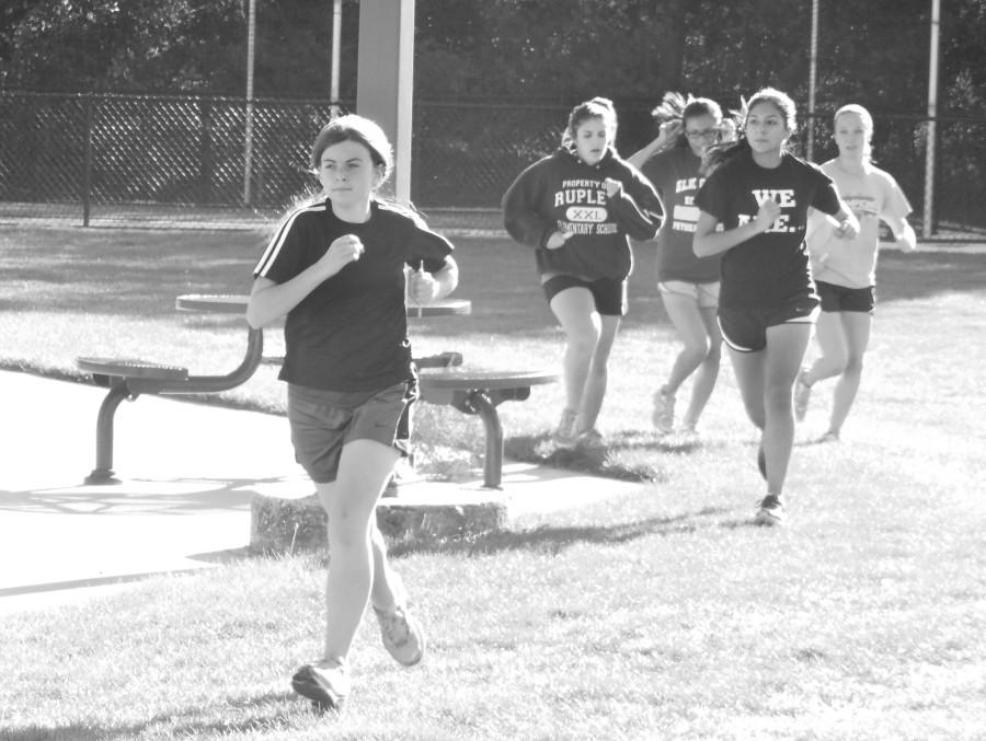 Girls cross country wraps up season