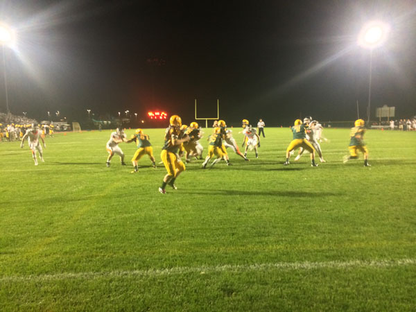 GOODBYE TO GRASS: The “Task Force” decided to replace Robert E. Haskall Field’s grass with artificial turf in time for the 2015-2016 school year. Because of this, graduation will be in the gym.