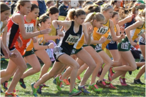 #STATEMEIER: Junior Emily Stegmeier running her race at the state competition on November 7 at Detweiller Park. Stegmeier took 29th place overall.